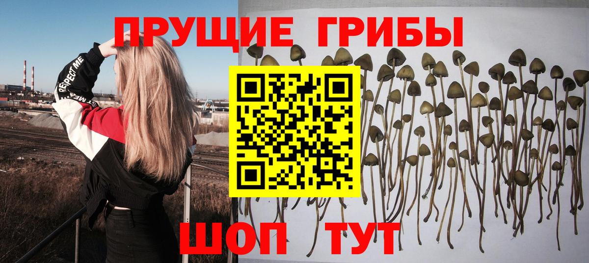 Псилоцибиновые грибы MAGIC MUSHROOMS Чита