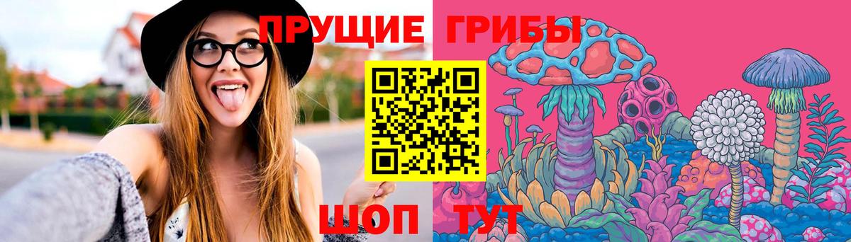 Галлюциногенные грибы Psilocybine cubensis  Вход с VPN  Чита 